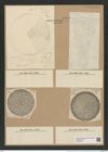Coscinodiscus robustus Grev. (de-Toni-Nr.: Genus 202, Species 4967) Zeichnungen Sammlung Grunow Nr. 8569 (NHMW-BOT-W0378215)